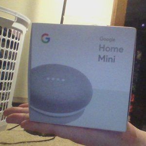 google home